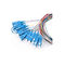 Sc di colore 1M Fiber Optic Pigtail di LSZH 12/E2000/coda a fibra ottica st/di FC