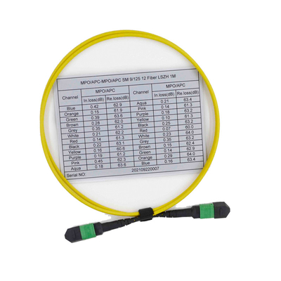 comprare Cavo di toppa misto di OS2 9/125 MPO MTP della fibra femminile del cavo 12 online manufacture