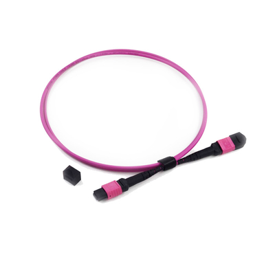 comprare 12 PVC basso 3.0mm OM4 50/125 di perdita di inserzione del cavo di toppa della fibra MPO MTP OM3 online manufacture