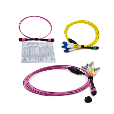 comprare Perdita di inserzione bassa 3.0mm MPO alla cassetta 12 di LC 24 cassette della fibra MPO MTP online manufacture