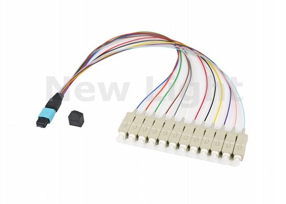 comprare Cable multimode OM3 MPO MTP 12 Core / 24 Core per la rete di area di archiviazione online manufacture