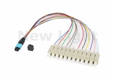 comprare I multi centri/24 centri del cavo 12 di modo OM3 MPO MTP per il Manica della fibra della rete di deposito online manufacture