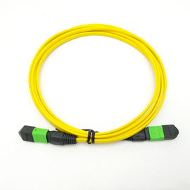 comprare Cavo femminile 10m di giallo del cavo di toppa del centro del cavo MP 12 di MPO-MPO MPO MTP online manufacture