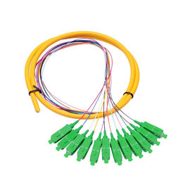 comprare Treccia a fibra ottica di distribuzione di singolo modo dello Sc APC dei 12 centri per le reti di telecomunicazione online manufacture