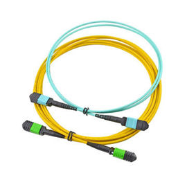 comprare 12 cavo del centro MPO MTP, Assemblee di cavo a fibre ottiche gialle del tronco di colore per SFP online manufacture