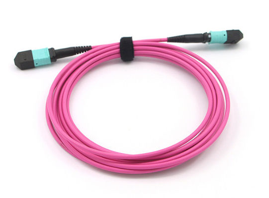 comprare MPO MTP Cable 12 Fiber Core OM4 Magenta MPO Trunk Cable per reti ad alta velocità online manufacture