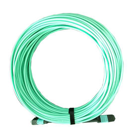 comprare 12 il laser del cavo 10Gb della fibra 50/125 OM3 MPO MTP ha ottimizzato misto (3m/10ft) online manufacture
