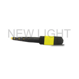 comprare MTP (femminile) a polarità (femminile) B del cavo di singolo modo di MTP per i ricetrasmettitori QSFP28 online manufacture