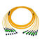 Singolo modo 9/125 tronco a fibra ottica MTP della fibra del cavo del cavo di toppa 12/PVC di MPO