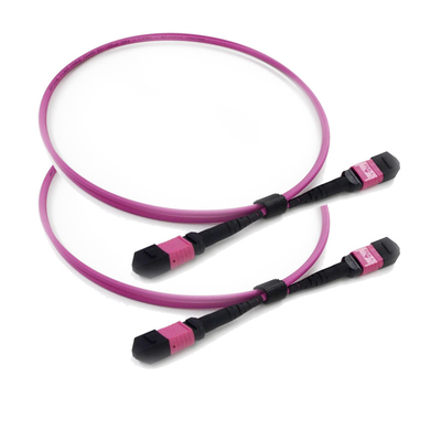 12 Cavo a fibra MTP con lunghezza d'onda 1310/1550 nm e perdita di inserimento ≤ 0,25 dB per il data center