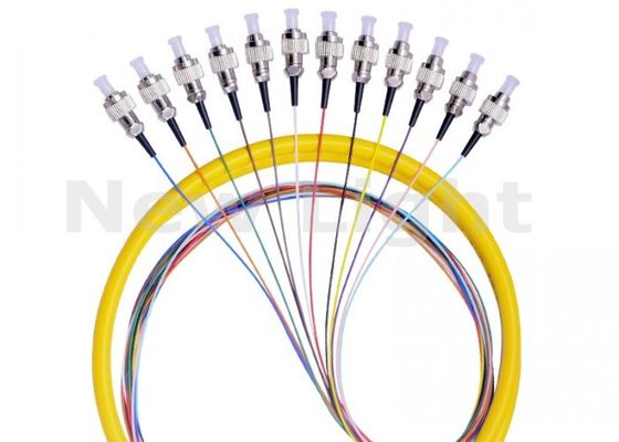 FC UPC 12 Core Single Mode Fiber Optic Pigtail con diametro di 0,9 mm per la trasmissione dei dati