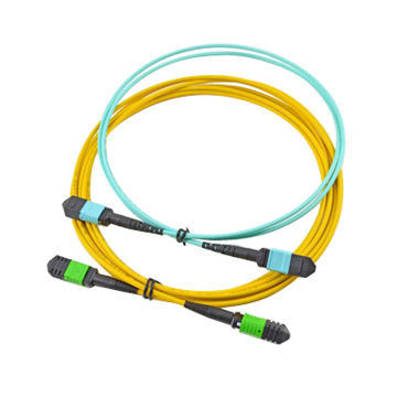 Cable MPO MTP a 12 nuclei a modalità singola Cable MTP a 12 nuclei a modalità singola Cable MTP MPO MTP a modalità singola Cable MTP a 12 nuclei a modalità singola Cable MPO MTP a modalità singola Cable MPO MTP a modalità singola Cable MPO MTP a modalità singola Cable MPO MTP a modalità singola Cable MPO MTP a modalità singola Cable MPO MTP a modalità singola Cable MPO MTP a modalità singola Cable MPO MTP a modalità singola Cable MTP a modalità singola Cable MPO MTP a modalità singola Cable MTP 