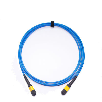 Bassa Perdita di Inserzione ≤ 0.35dB Cavo MPO MTP a 24 Fibre con Cordone Patch in Fibra Ottica LSZH