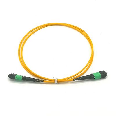 Cavo in Fibra Ottica Patch Cord MPO MTP Monomodale LSZH 3.0 USCOME 24 Core G657A1 Lunghezza Personalizzata