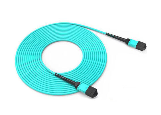Cable MPO MTP OM3 OM4 Patch Cord con connettore maschio o femmina e 8 12 24 opzioni di fibra