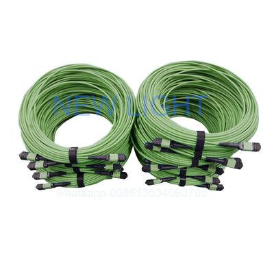 12 Core OM4 MPO MTP Cable con lunghezza personalizzata e connettore a fibra MPO