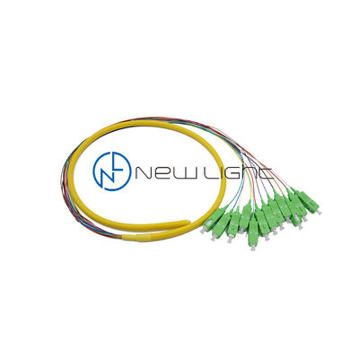 Coda in Fibra SC a Tubo Libero Robusta a 12 Fibre da 0,9 mm per Assemblaggi di Cavi Multifibra ad Alte Prestazioni